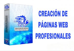 Creacion de paginas web profesionales