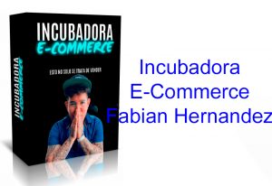 Curso Incubadora E-Commerce Fabian Hernandez