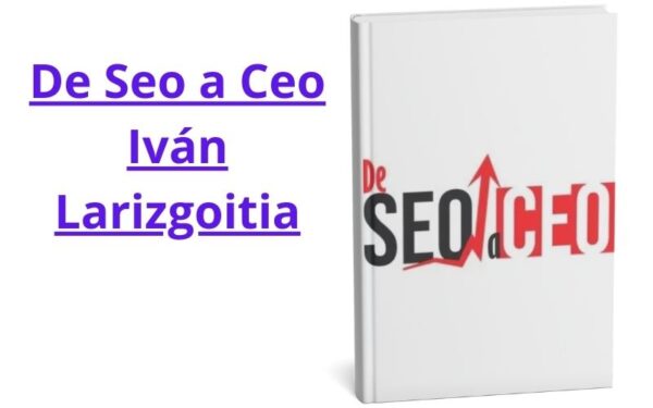 De Seo a Ceo Iván Larizgoitia