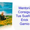 Mentoría Consigue Tus Sueños Erick Gamio
