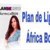 Plan de Ligue Africa bos