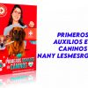 Primeros Auxilios en Caninos Nany Lesmes