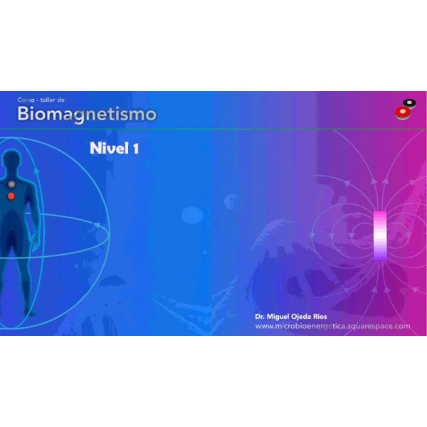 biomagnetismo nivel 1