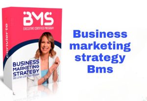 business marketing strategy bms