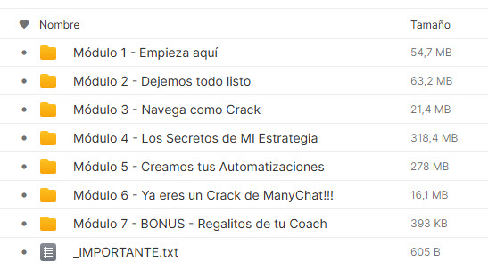 manychat master insta coach andy 