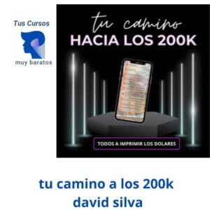 tu camino hacia los 200k david silva 1
